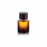 guess 1981 los angeles pour homme 100 ml