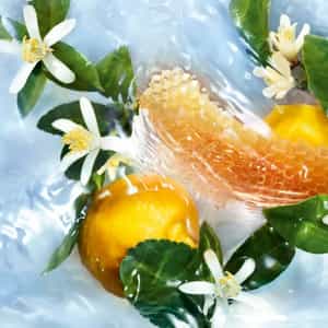 guerlain aqua allegoria nettare di sole