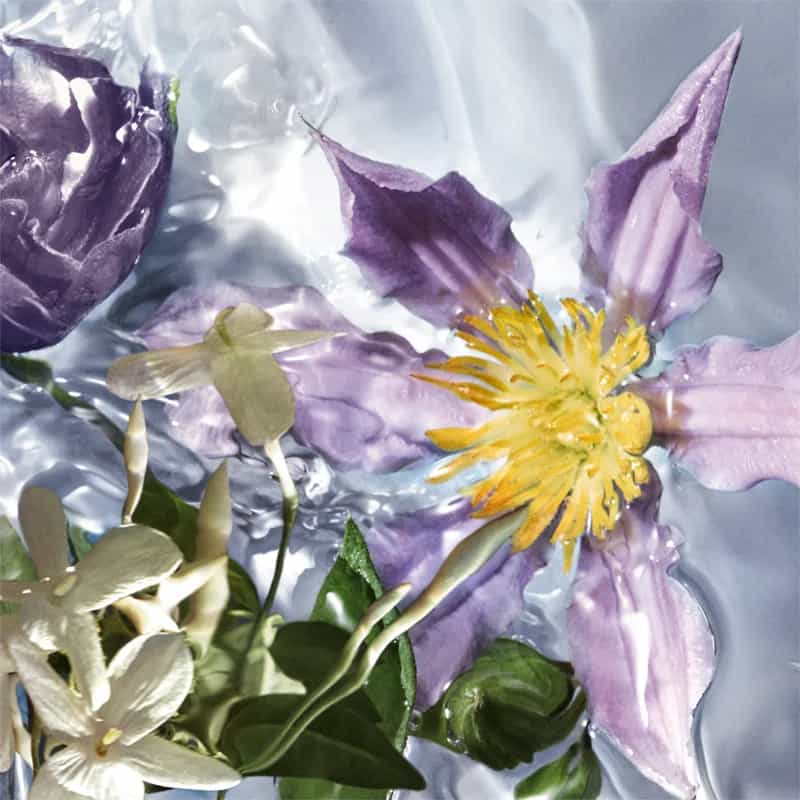 guerlain aqua allegoria flora salvaggia